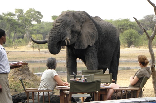 Hwange National Park a